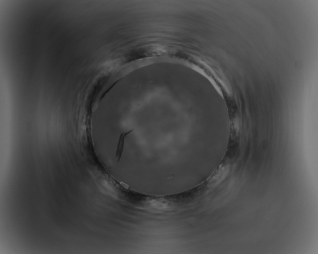 X0000088230423200705151456