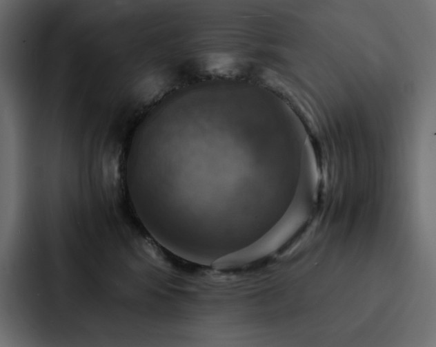 X0000088230424200705151456