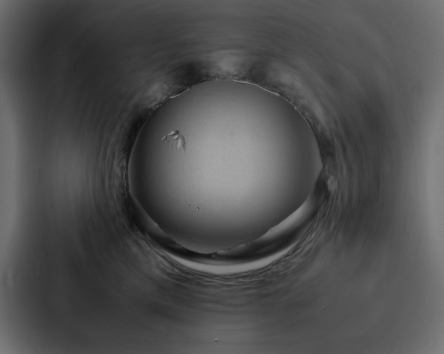 X0000088230425200705151456
