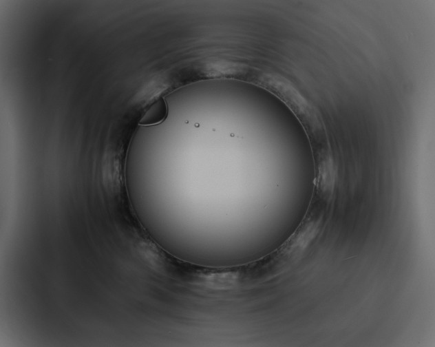 X0000088230426200705151456
