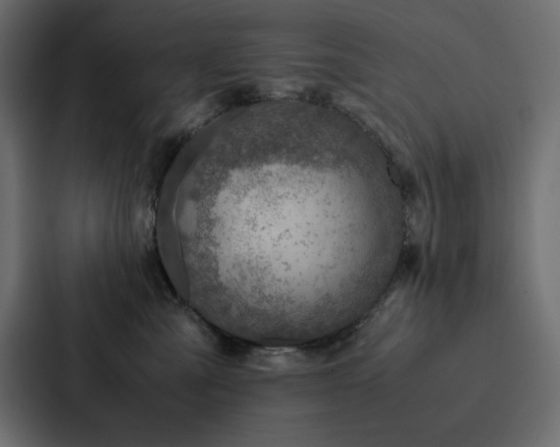 X0000088230427200705151456