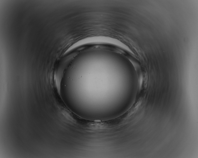 X0000088230428200705151456