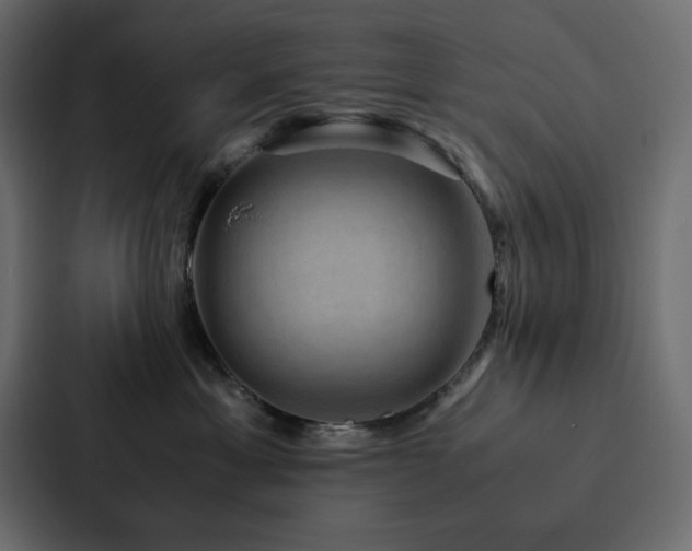X0000088230429200705151456