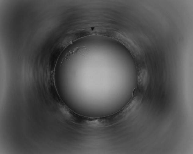 X0000088230430200705151456
