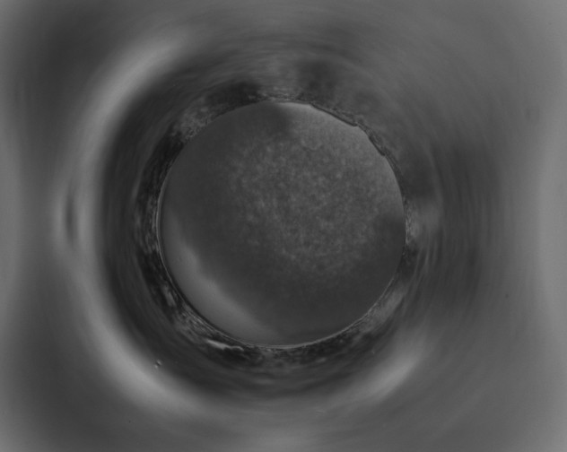 X0000088230431200705151456