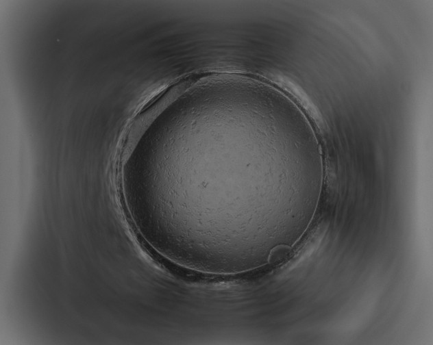 X0000088230433200705151456