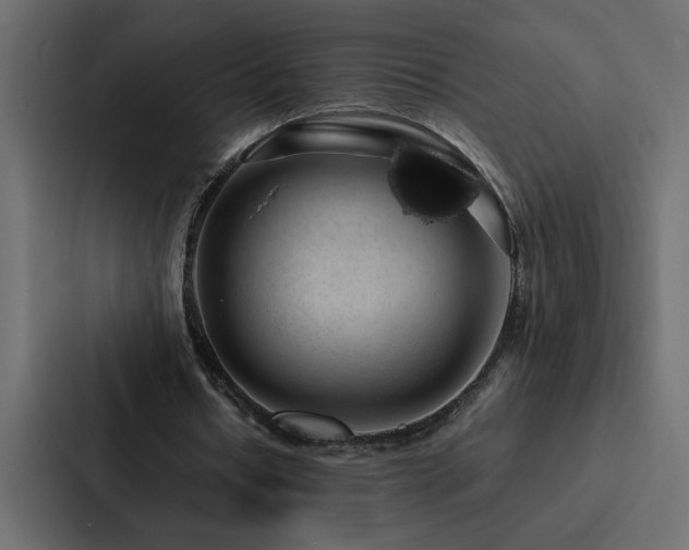 X0000088230434200705151456