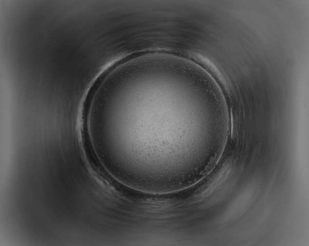 X0000088230435200705151456