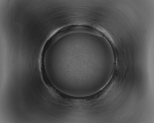 X0000088230436200705151456