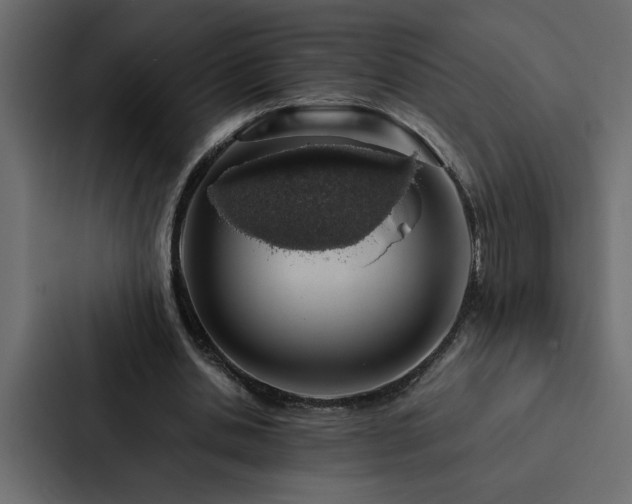 X0000088230438200705151456