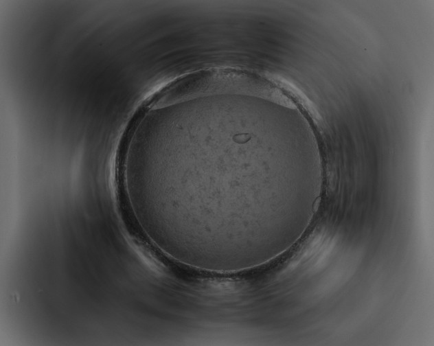 X0000088230439200705151456