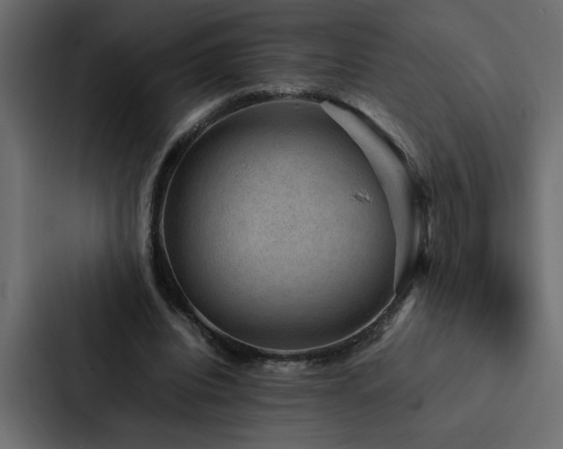 X0000088230440200705151456
