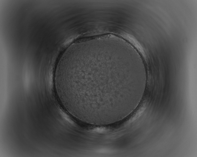 X0000088230441200705151456