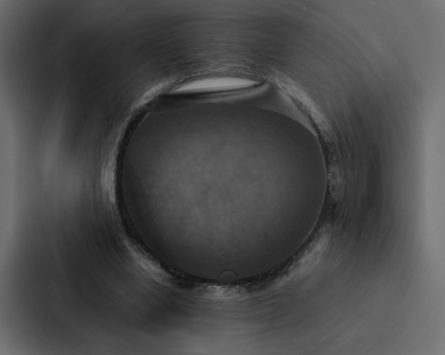 X0000088230442200705151456
