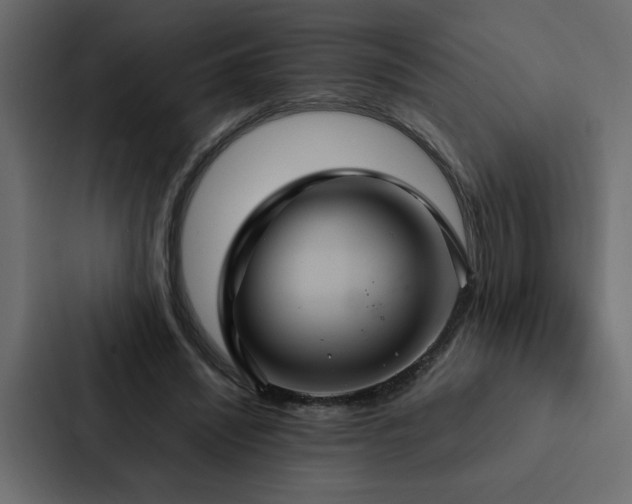 X0000088230444200705151456