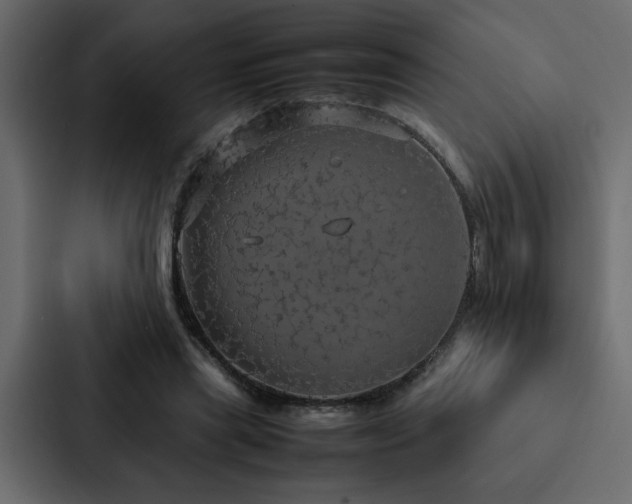 X0000088230445200705151456