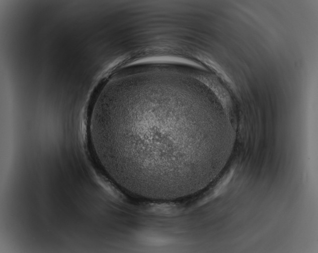 X0000088230446200705151456
