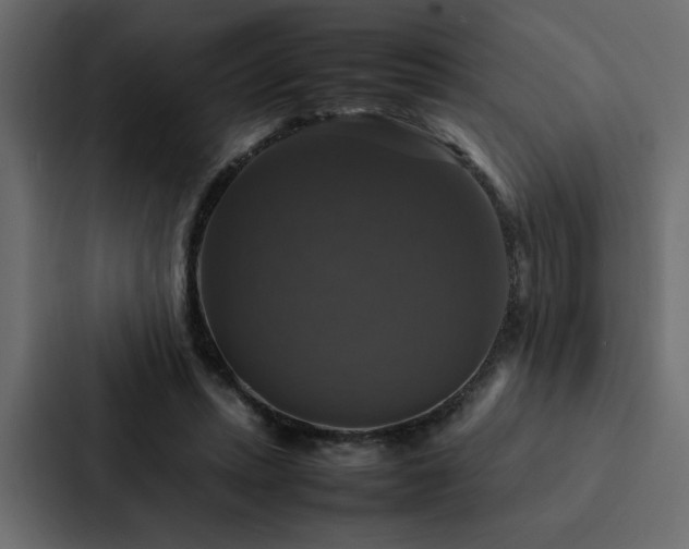 X0000088230447200705151456