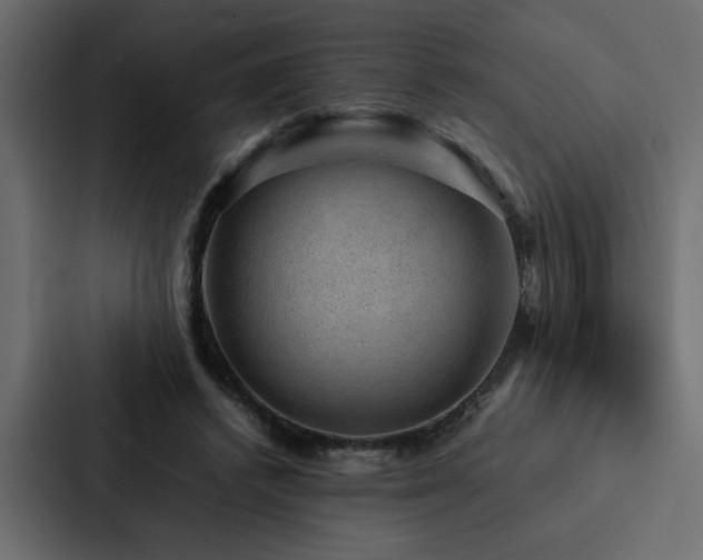X0000088230448200705151456