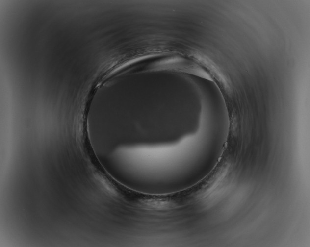 X0000088230449200705151456