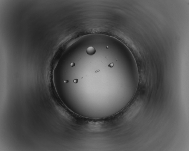 X0000088230450200705151456