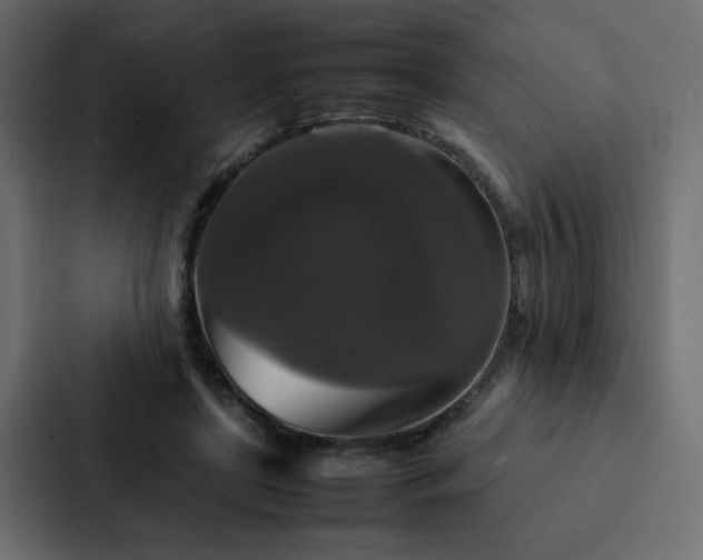 X0000088230451200705151456
