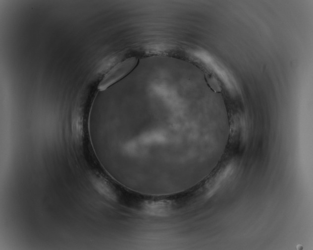 X0000088230452200705151456