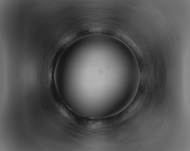 X0000088230454200705151456