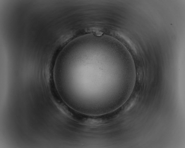 X0000088230455200705151456