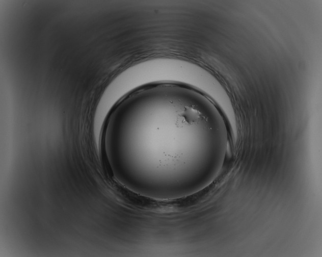 X0000088230456200705151456