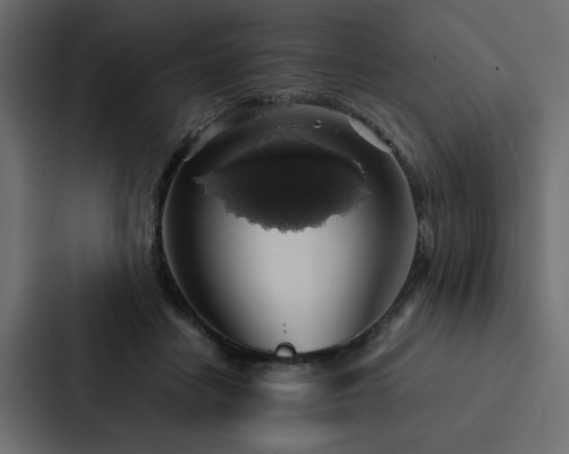 X0000088230458200705151456