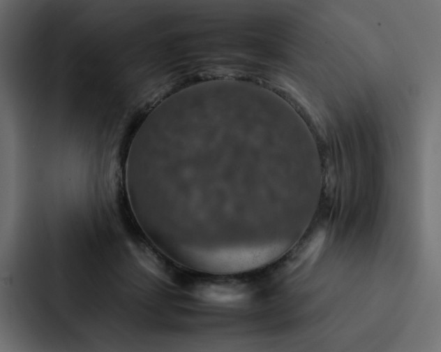 X0000088230459200705151456