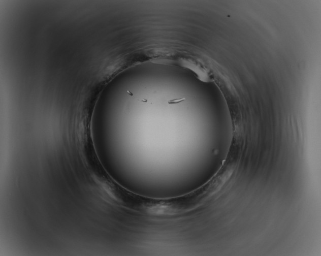 X0000088230460200705151456