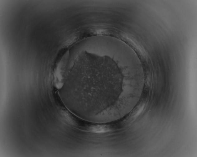 X0000088230461200705151456