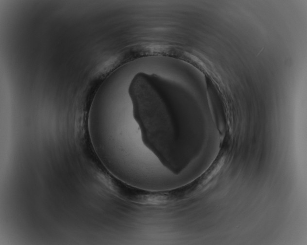 X0000088230462200705151456