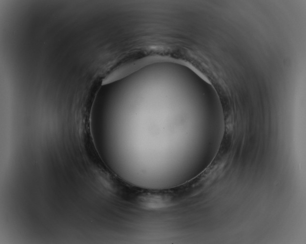 X0000088230464200705151456