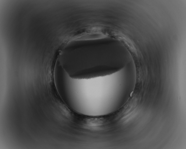 X0000088230465200705151456