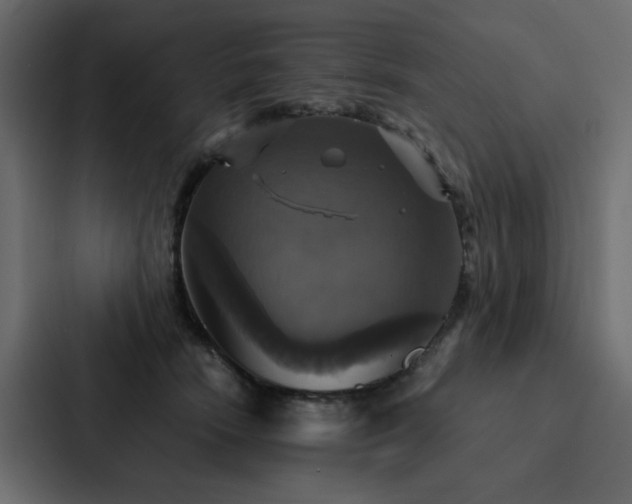 X0000088230466200705151456