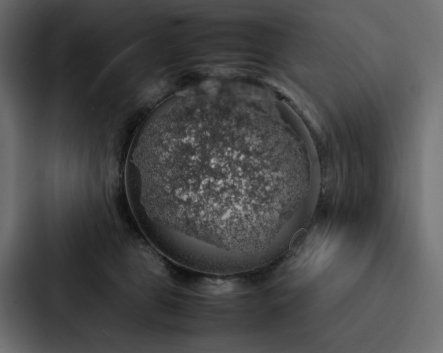 X0000088230469200705151456