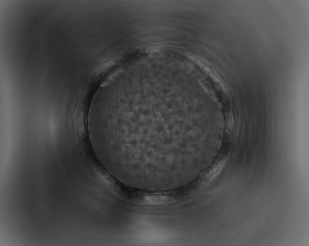 X0000088230470200705151456