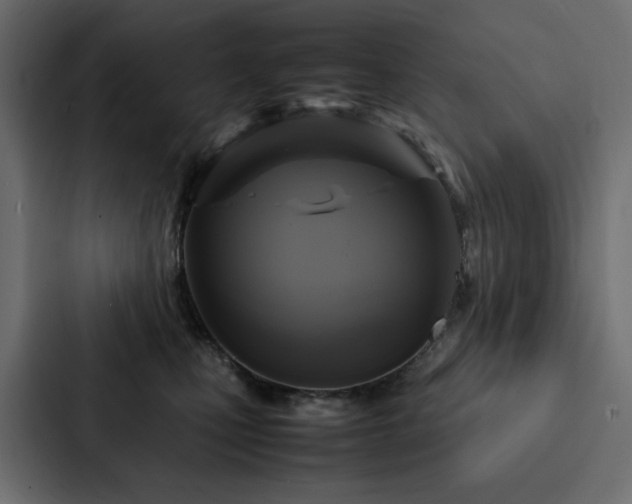 X0000088230471200705151456