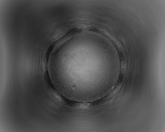 X0000088230474200705151456
