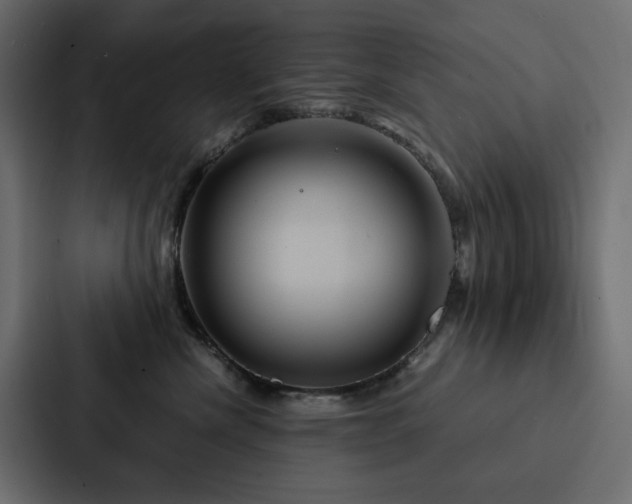 X0000088230476200705151456