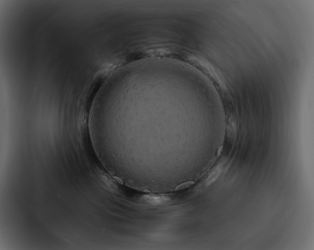 X0000088230477200705151456