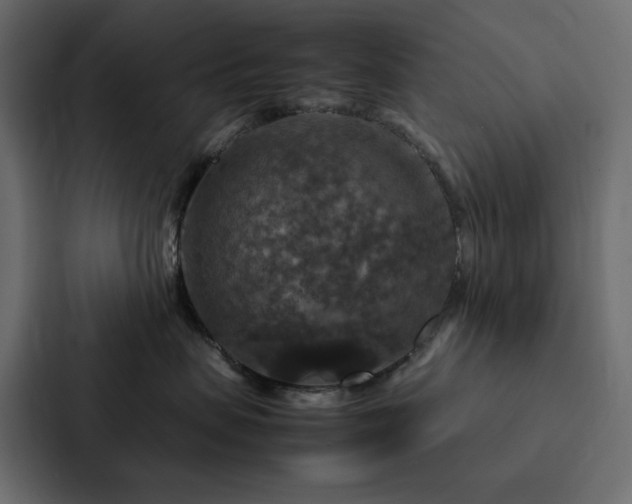 X0000088230479200705151456