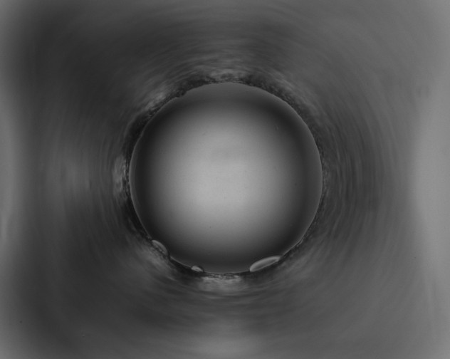 X0000088230480200705151456