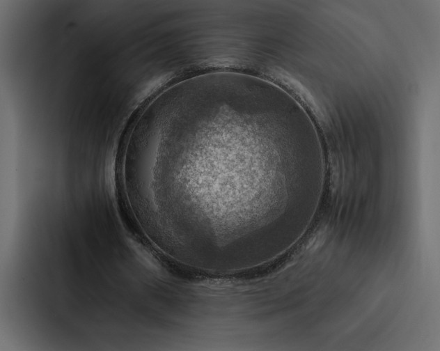 X0000088230482200705151456