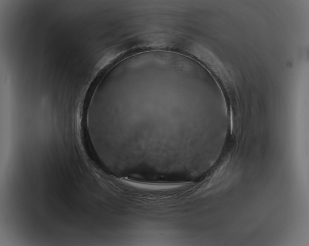 X0000088230483200705151456