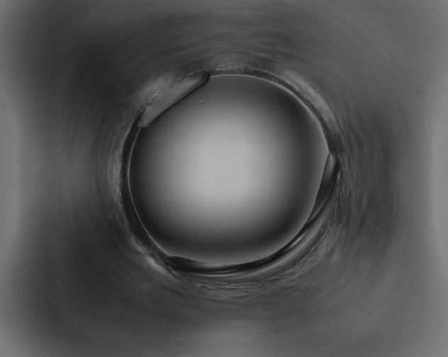 X0000088230485200705151456
