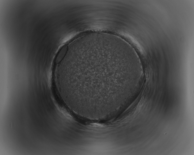 X0000088230488200705151456